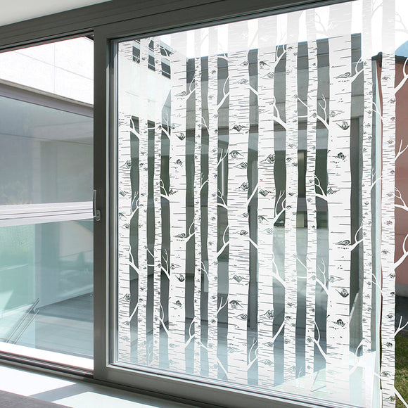 Moderne Fensterfolie mit Birken-Dekor
